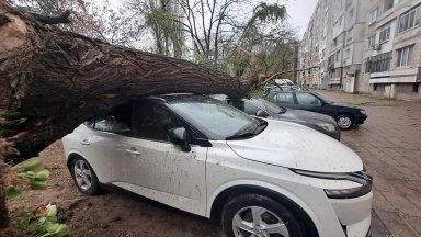 Мощна буря изкорени дървета и отнесе покриви в Пловдив (снимки/видео)