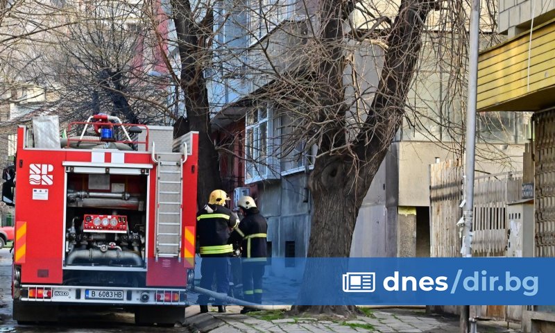 Снимка: Булфото Снимка: Булфото Снимка: Булфото