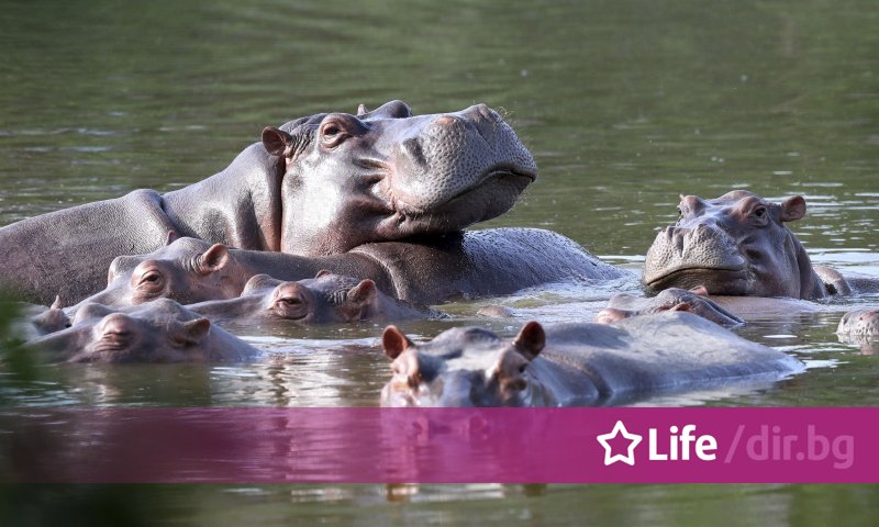 Министерството на околната среда и устойчивото развитие има План за