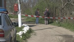 Кучета, отглеждани в съседски имот, са убили санитарката в Долна Оряховица