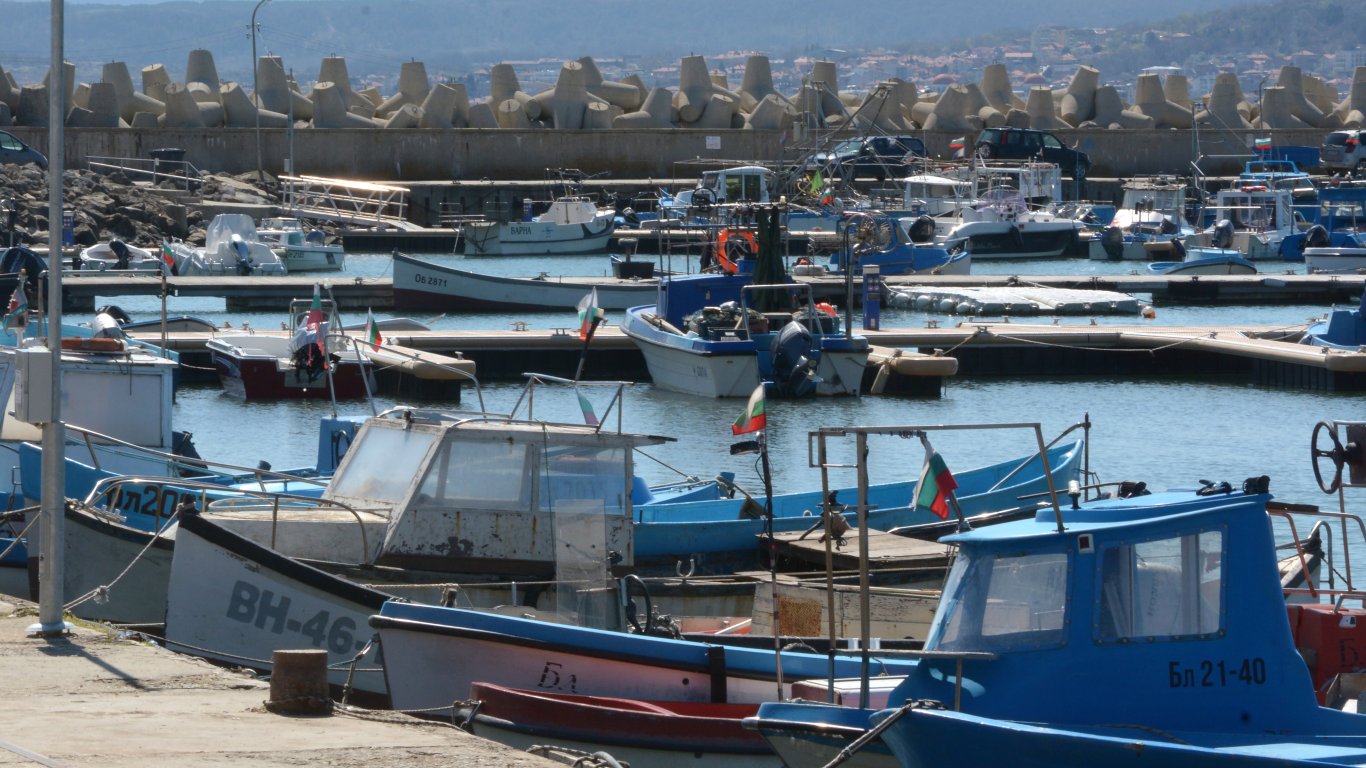 Варненски рибари: При ветропаркове в Черно море рибата ще изчезне