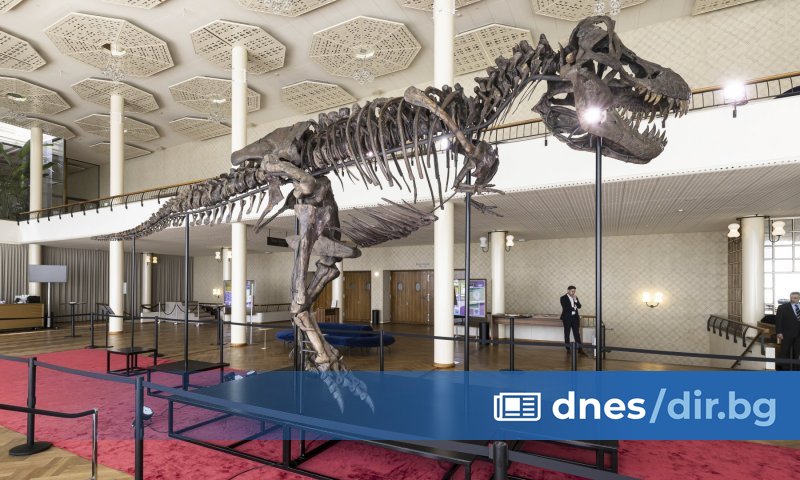 Това не е отливка или копие, ами оригиналът. Има много,