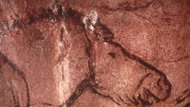 Във Франция разкриха праисторически гравюри от времето на пещерата Ласко
