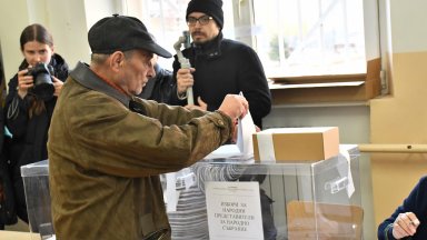 Сутрин и преди обед обичайно активността е по висока в по малките