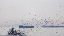 Поморие подписа първите проекти по Програмата за морско дело, рибарство и аквакултури 