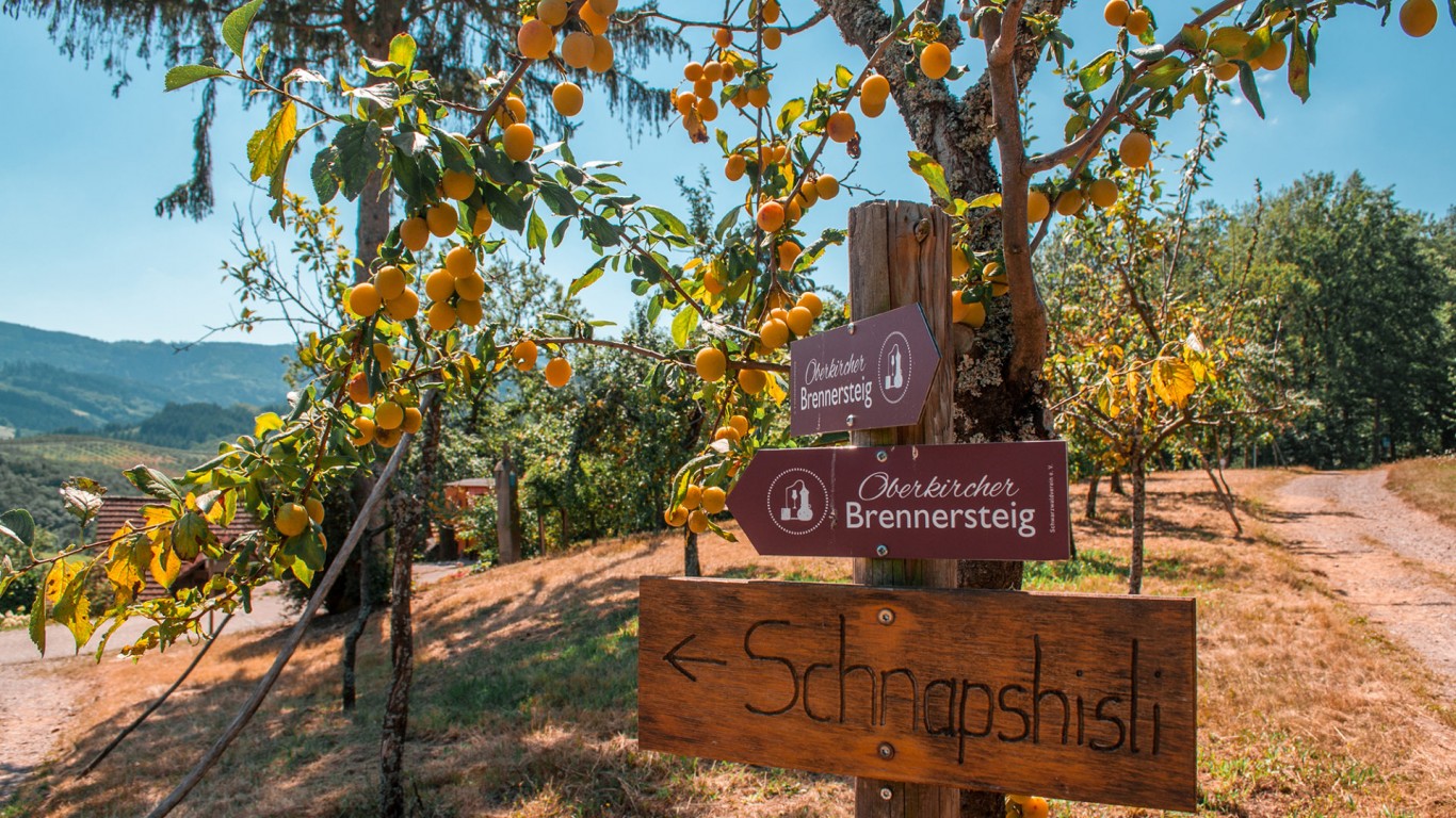 Туристически маршрут в Германия привлича с чешми с шнапс