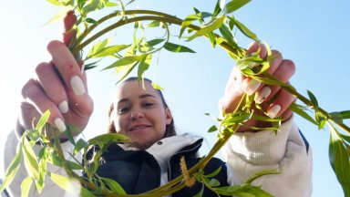 Снимка Скрийншот от НСИ И през 2023 г най много новородени