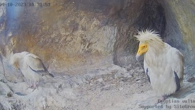 От дружеството отбелязват че вече близо 13 години наблюдават на