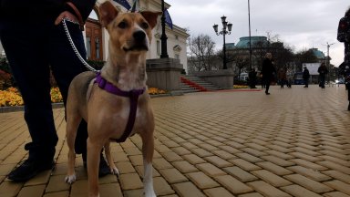 След близо осем часа на стража пред парламента на 19