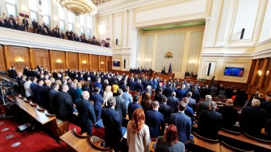 Още в ранни зори бездомното кучето Фернанда което посрещаше народните