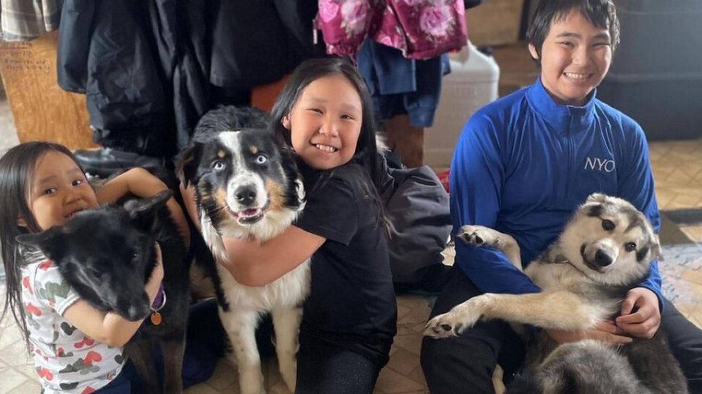Семейство от Аляска намери изчезналото си куче на 241 км от дома
