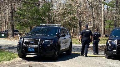 Говорителят на министерството на отбраната Пат Райдър припомни че разследването