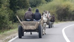 19-годишна шофьорка отнесе каруца