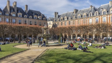 Париж под обсада от дървеници: Какво трябва да знаете, ако сте във френската столица