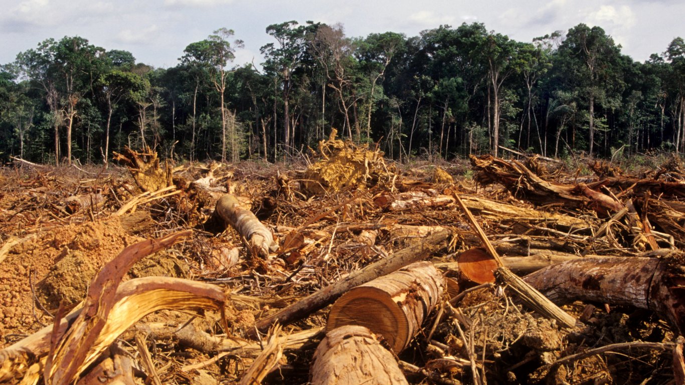 Бразилия се опитва да изгради нова биоикономика, докато се бори с обезлесяването