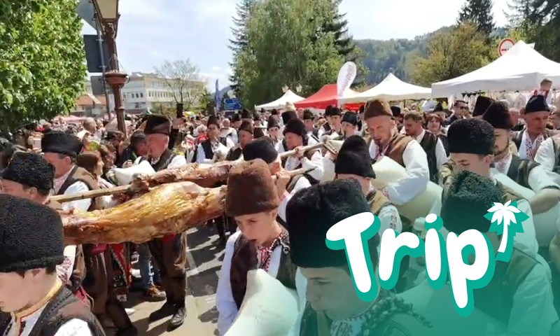 15 15