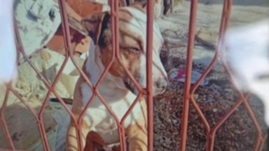 Никола е един от първите стигнали до къщата след инцидента