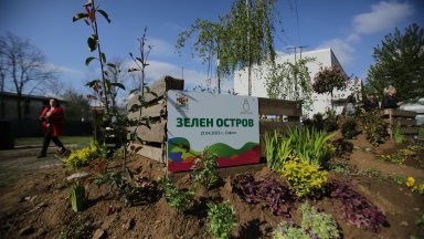 Снимка БТА На зеления остров в ХТМУ са разположени контейнери