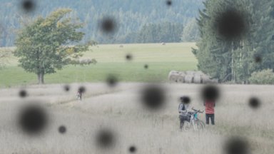 Защо диабетът засяга зрението Най честите и сериозни диабетни очни заболявания започват с