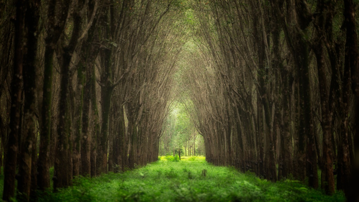 Пътешествие по магичните пътеки на Англия, вдъхновили Толкин