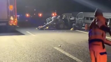 Присъдата постановена от първоинстанционния съд бе потвърдена и от Апелативния