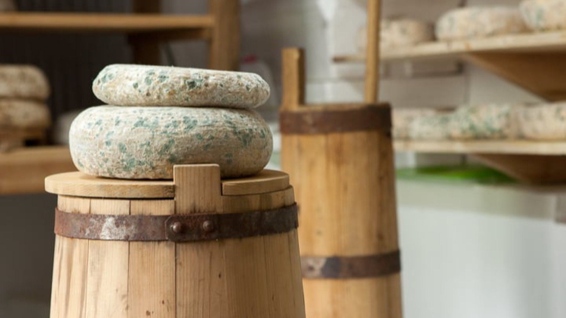 Българското зелено сирене от село Черни Вит, което покори света 