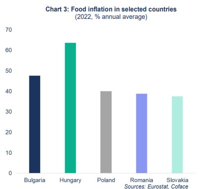Инфлация при храните в Източна Европа по страни за 2022 г., в процент, средно