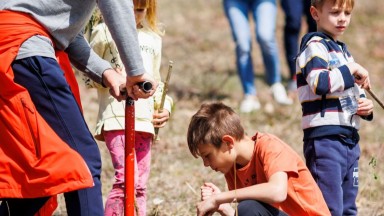 ОББ засади нова гора с близо 9000 дървета до София