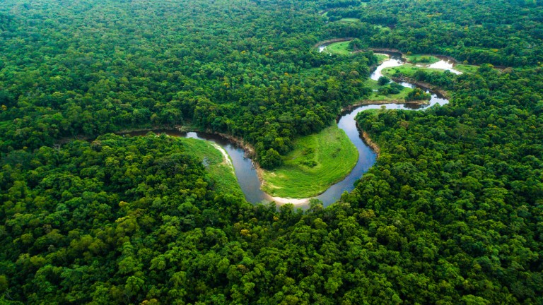 В дивите гори на Амазония - приключение за смелчаци и няколко крана