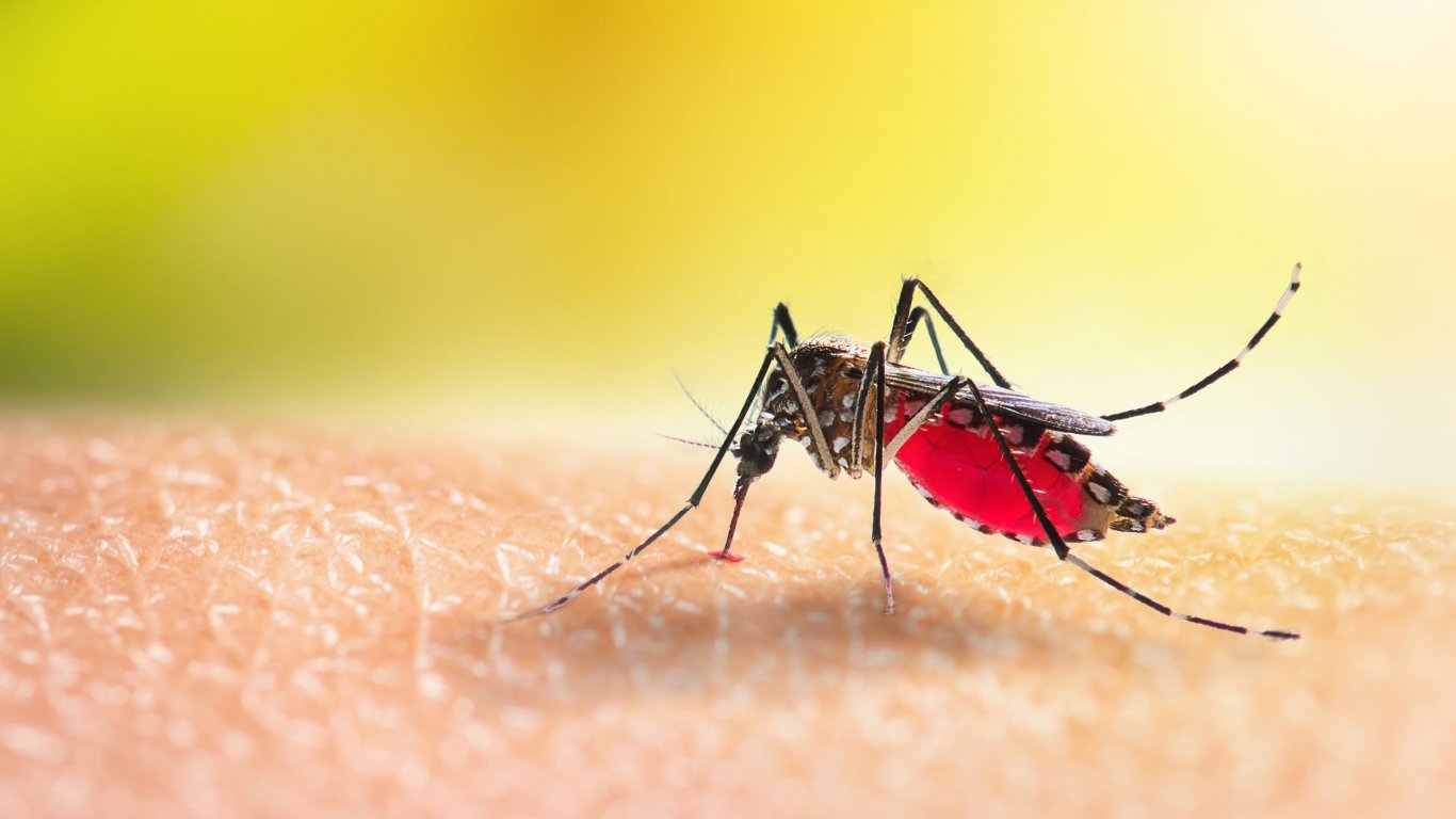 Климатичните промени създават повишен риск от пренасяни от комари вируси