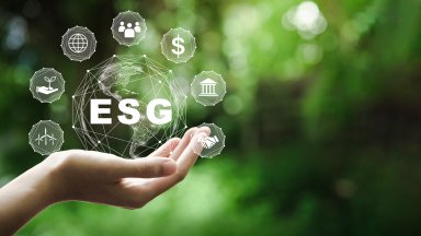 Findings.co пуска на българския пазар ESG платформа в подкрепа на устойчивото развитие