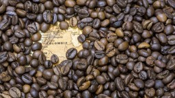  Най-вълнуващото приключение в търсене на най-доброто кафе