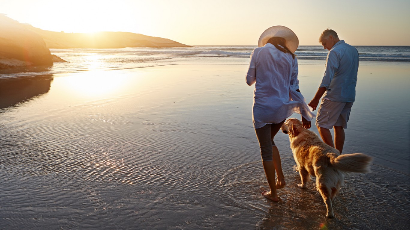 Без кучета на плажа във Варна до 1 октомври