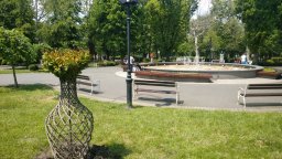 Индийски люляци красят Морската градина в Бургас (снимки)