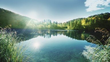 снимка Lidl За първи път тази година инициативата Дай шанс