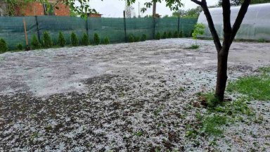 Снимка Диана Илиева кмет на Чарган Градушка придружена с пороен