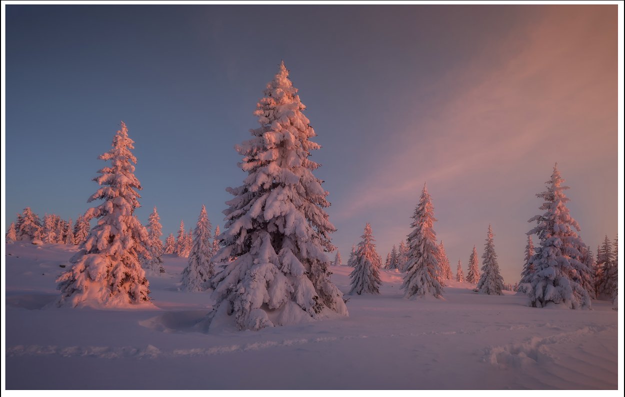 Румен Цончев взе наградата в категория "Природна фотография" със снимката "Зима на Витоша"