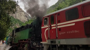 Снимка Петя Велева Композицията изненадващо е спряла на гара Цепина