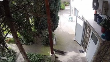 Земетресението със сила 4 8 по Рихтер стана в 15 26 часа с