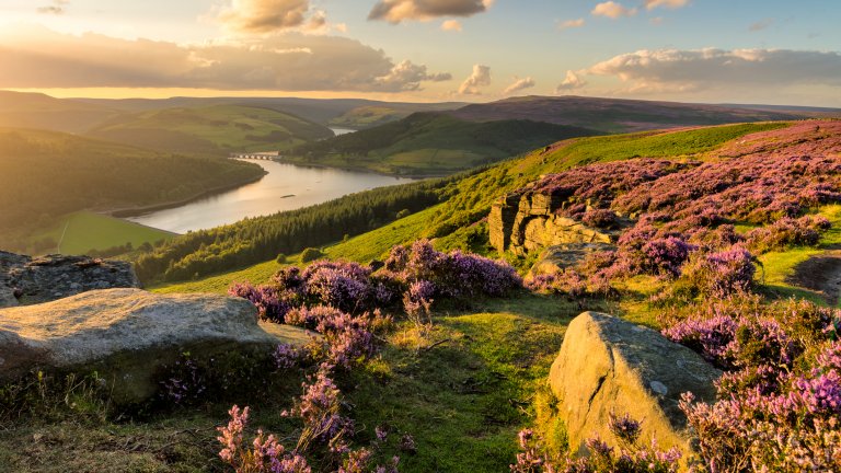 Най-живописните автобусни маршрути в Англия, които ще ви струват под 3 евро