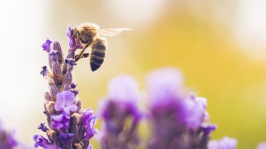 Снимка DEVIN Данните на мониторинга за четирите периода на 2022