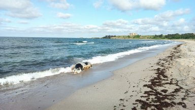 Рано тази сутрин в местност Таласакра багер влезе на труднодостъпния