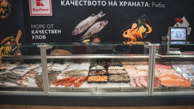 снимка Kaufland България Инвестицията в качеството на прясната риба е