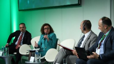 Според Василева в момента е важна подкрепата която държавата може