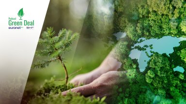 Горите и другите залесени земи заемат над 43 5 процента от