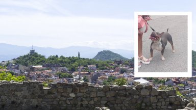 В почивния ден Александър Георгиев се разхождал със 7 годишния си