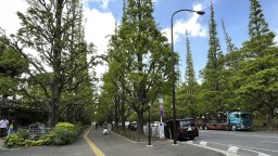 Писателят Харуки Мураками пледира за запазване на парк и стадион в Токио, вдъхновили творчеството му