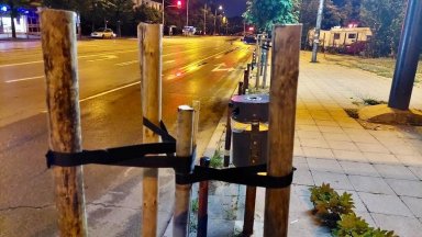 Тук не става въпрос само за едно дръвче става въпрос