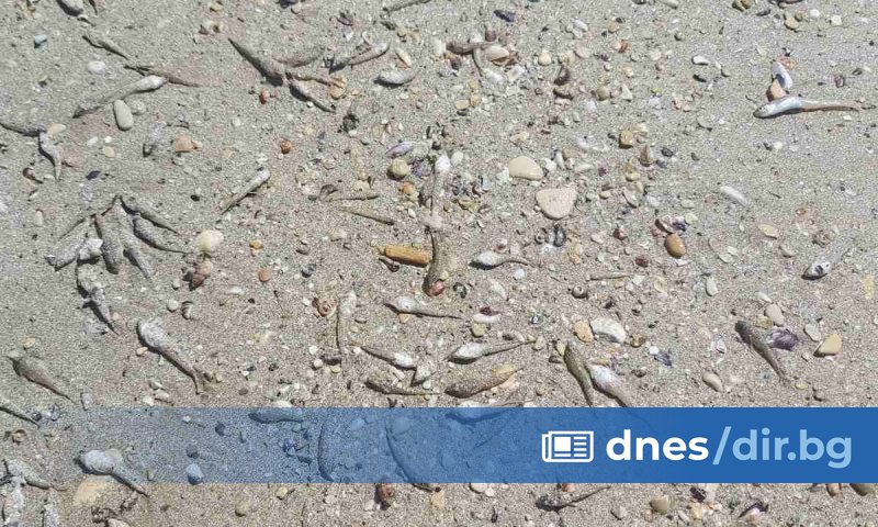 Експерти от екоинспекцията са направили незабавна проверка заедно с представители