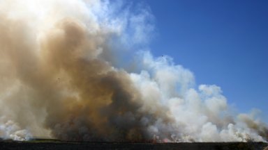 Няма жертви Властите разследват случая заяви губернаторът на Краснодарския край